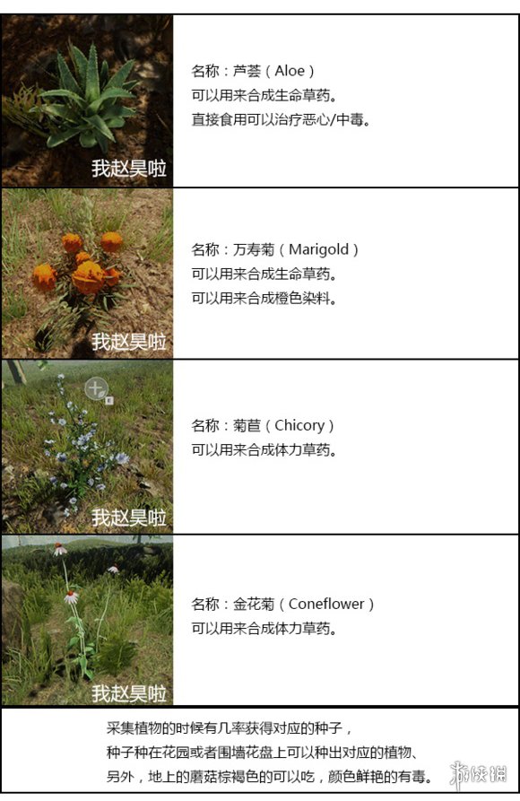 森林制作物品大全图解（物品制作方法与材料配方）插图13