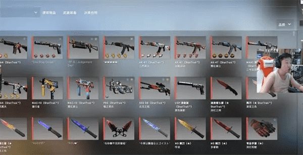 csgo什么饰品值钱（饰品皮肤价值怎么看）插图5