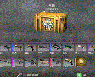 csgo什么饰品值钱（饰品皮肤价值怎么看）插图17