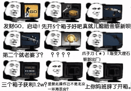 csgo什么饰品值钱（饰品皮肤价值怎么看）插图31