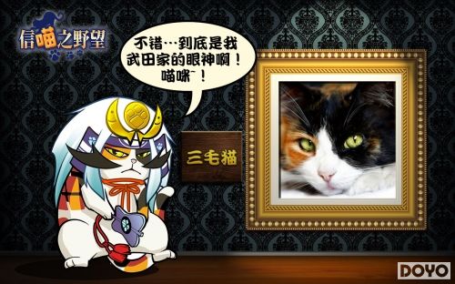 信喵之野望,光荣神级原画！《信喵之野望》萌猫的诞生